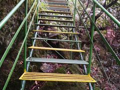 -湖州龙王山景区