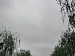 -西湖游船