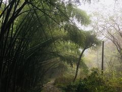 -会稽山峡洞漂流-上青古道