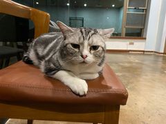 -咖法森林·咖啡  酒吧(天河店)