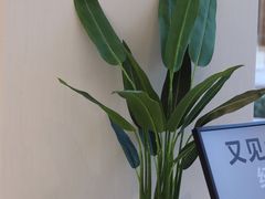 -喜茶(深圳万象前海店)