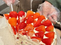 -O'eat Blossom&Pelican(深圳首店)