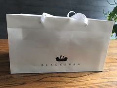 -BLACKSWAN黑天鹅(环球店)