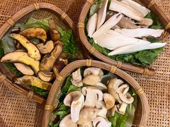 -滇野云南野生菌餐厅(陕西南路店)