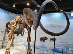 -辽宁古生物博物馆