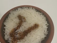 -文和友老长沙龙虾馆(化龙池店)