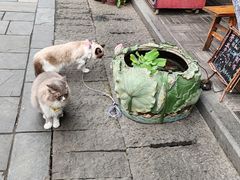 -郑三炮名小吃(公馆老街店)