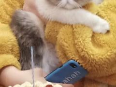 -派悦坊·甜品·蛋糕(日坛店)