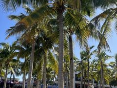 -三亚西岛海洋文化旅游区