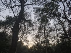 -灵隐飞来峰景区