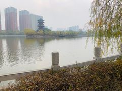 -迎泽公园
