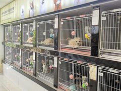 -翊宠yipet猫狗购宠庄园犬舍•猫舍