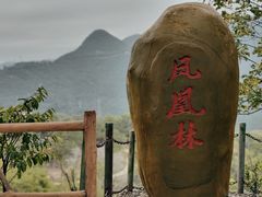 -东莞观音山旅游风景区