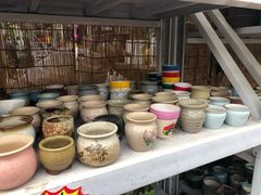 -秦美花卉(天朗·莱茵小城2期店)
