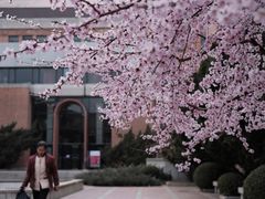-清华大学-甲所餐厅