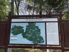 -东莞市大岭山森林公园