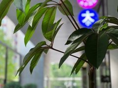 -大小咖啡 BigSmallCoffee(麦子店)