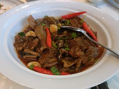 鳝鱼烩甲鱼裙边-云上·宴