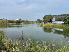-莲花岛景区