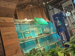 -西塘人家•黑金冠本地好店