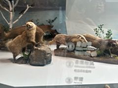 -杭州西湖博物馆总馆
