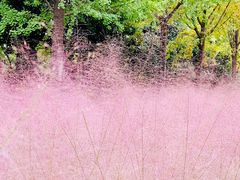 -苏州河梦清园环保主题公园