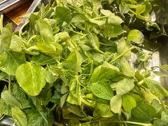 -金鼎雪山牦牛杂火锅(理县总店)