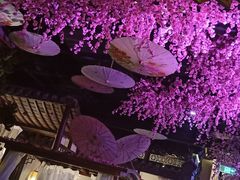 -韵秋荷(宝山龙湖天街店)