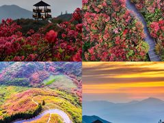 -大围山国家森林公园