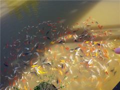 -世界恐龙谷景区