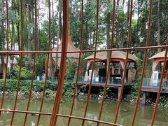 -二荆条·蜀鲜汇城市森林火锅