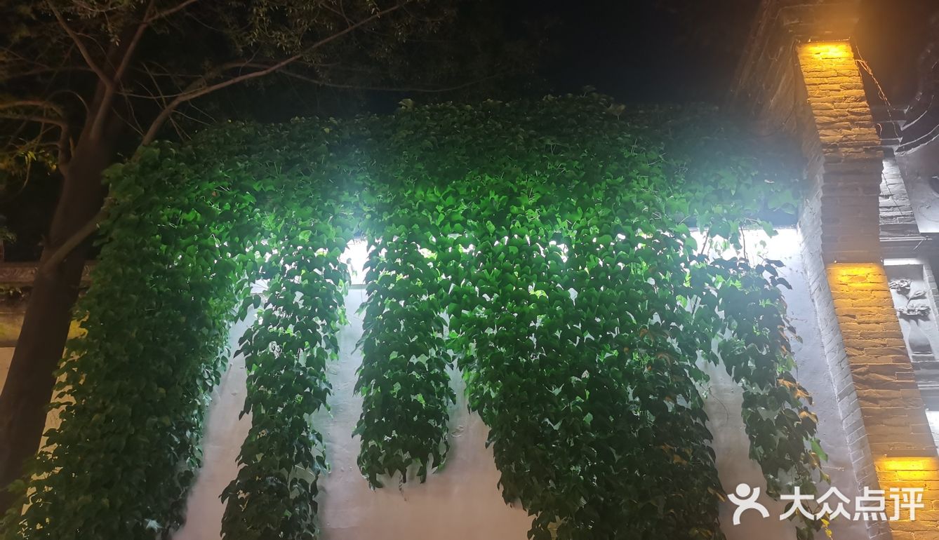 图片中的可能很多游客没有到的绿色的公园