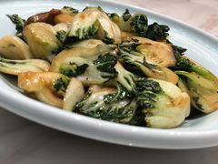 供港奶白菜-隆聚·时令海鲜(洪兴店)