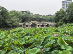 -金山公园