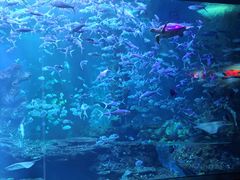 -多彩贵州城极地海洋世界