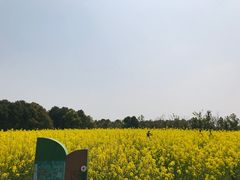 -上海浦江郊野公园-5号停车场