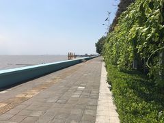 -瀛洲公园