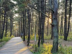 -帽儿山国家森林公园