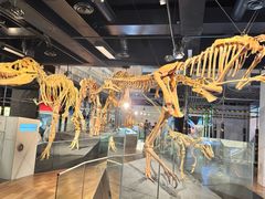 -墨尔本博物馆(Melbourne Museum)