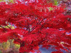 -西郊宾馆·1921餐厅