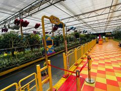 -南宫五洲植物乐园