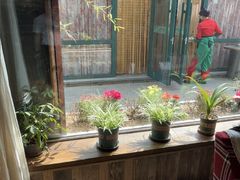 -慢丽江·云南野生菌土鸡锅(付家庄店)