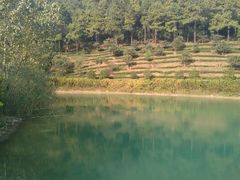 android_upload_pic-旺山景区