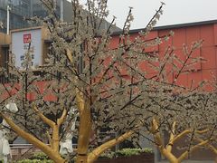 -丽达购物中心(崂山店)