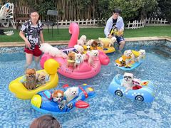 -汪说喵讲宠物乐园宠物酒店(红星美凯龙店)