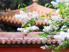 -故宫博物院(故宫)