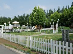 -上海长兴岛郊野公园