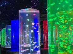 -锦艺城海洋馆