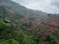 -木兰云雾山