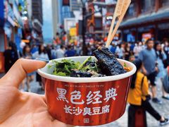 -黑色经典臭豆腐·湖南特产(坡子街店)